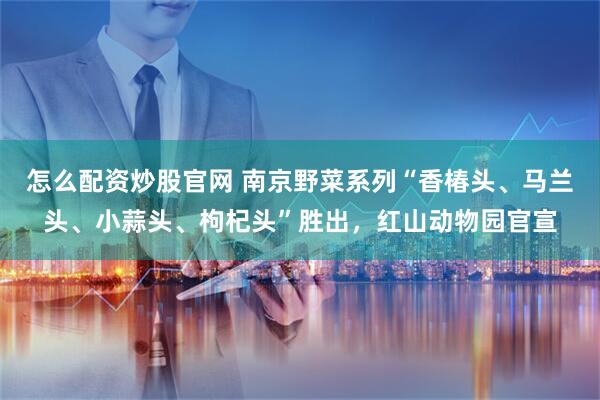 怎么配资炒股官网 南京野菜系列“香椿头、马兰头、小蒜头、枸杞头”胜出，红山动物园官宣